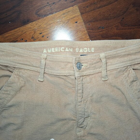 American Eagle corduroy baggy tan "teddy bear" pants🧸 - Picture 2 of 6